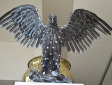 aquila